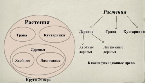 Вы точно человек?