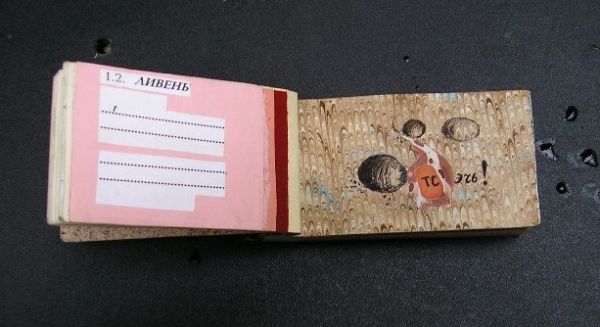 Bogatyrev Mikhail - RO Liven 1995.jpg