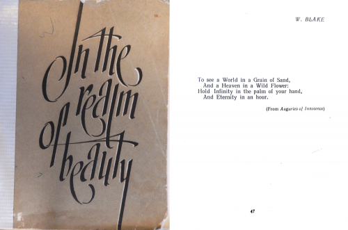 In the Realm of Beauty book.png